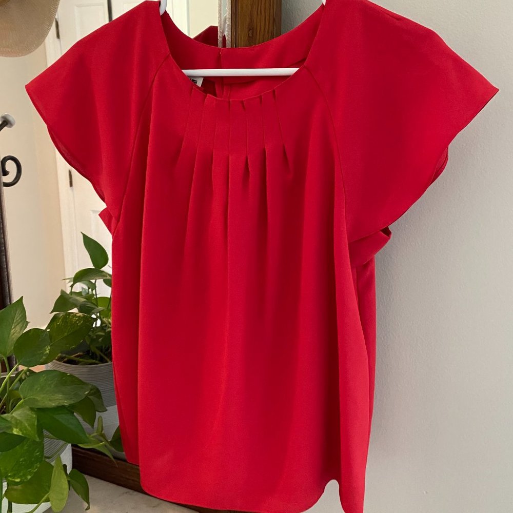 Red Pleated Blouse